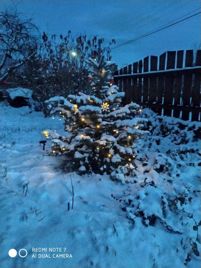 Котедж Кресаня Mikuliczyn Zewnętrze zdjęcie